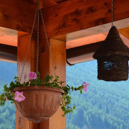 Hotel Garni Carpe Diem Vigo di Fassa Pokój zdjęcie