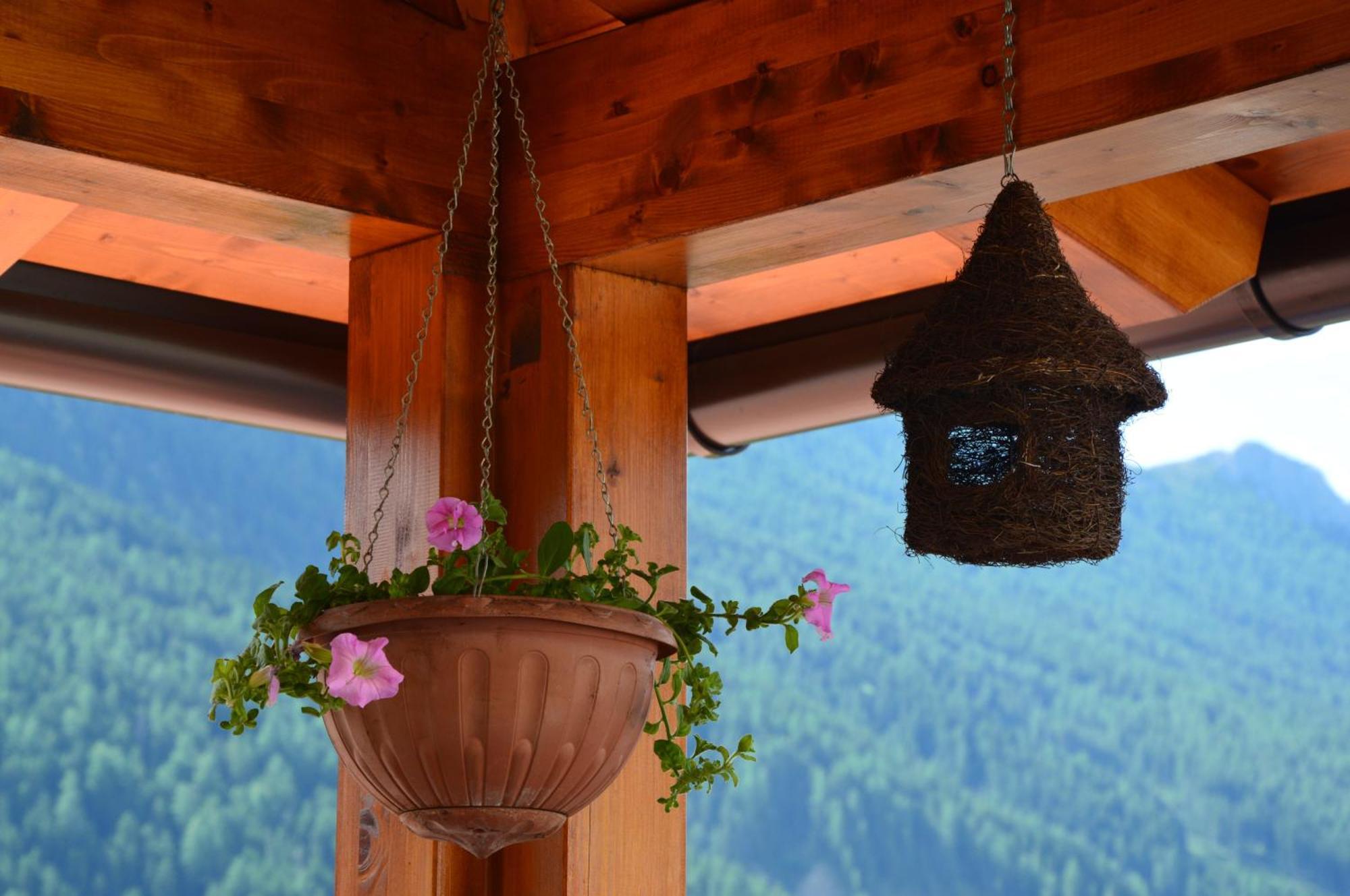 Hotel Garni Carpe Diem Vigo di Fassa Pokój zdjęcie