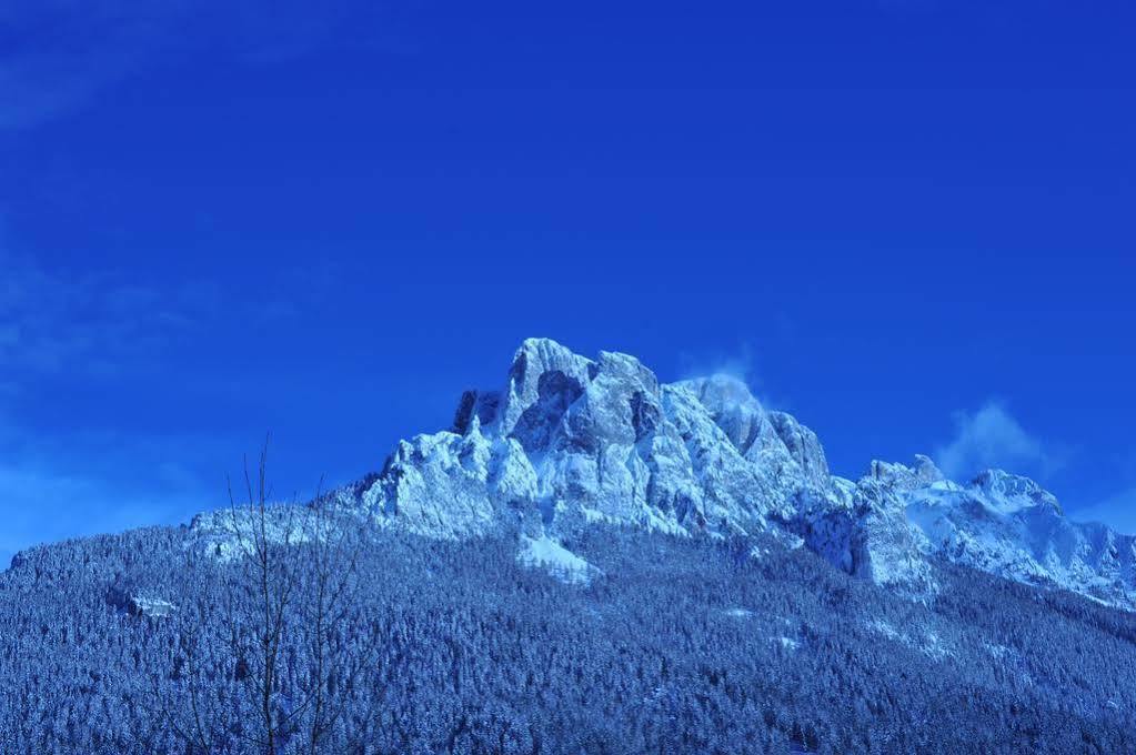 Hotel Garni Carpe Diem Vigo di Fassa Zewnętrze zdjęcie